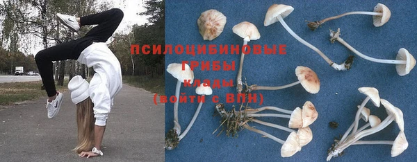 дмт Абинск